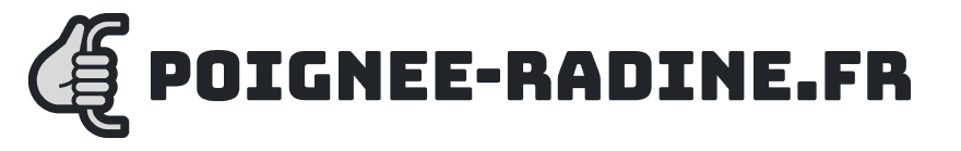 Logo improvin.poignee-radine.fr